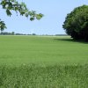 Tour 7: Kap Arkona
